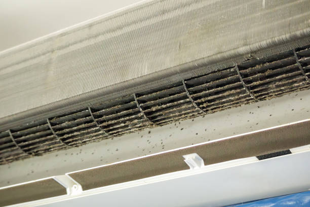 Best HVAC Duct Inspection Services  in Nevada, IA